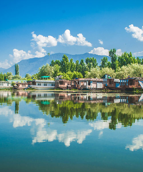 Kashmir