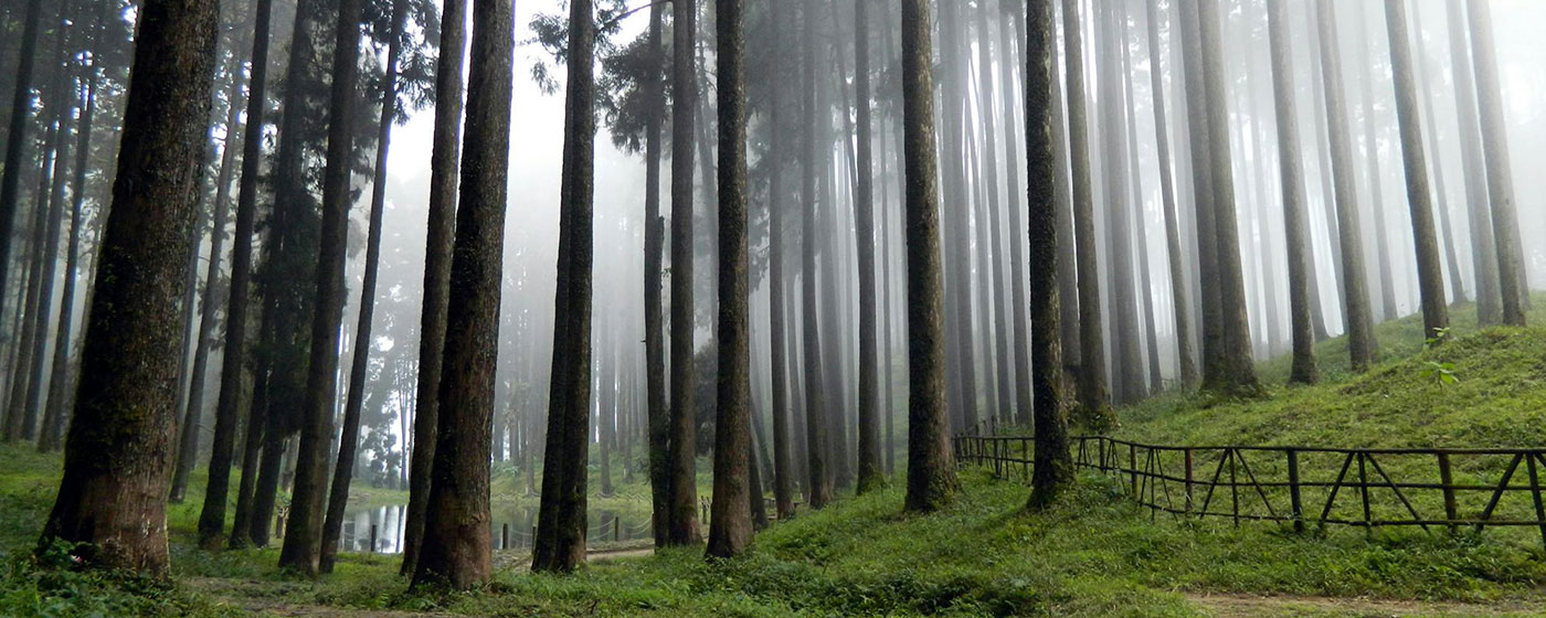 Darjeeling Travel Guide